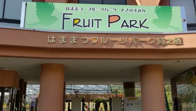 f:id:Prehistoriclifeman:20210503141524p:plain