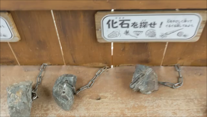 f:id:Prehistoriclifeman:20210612103451p:plain