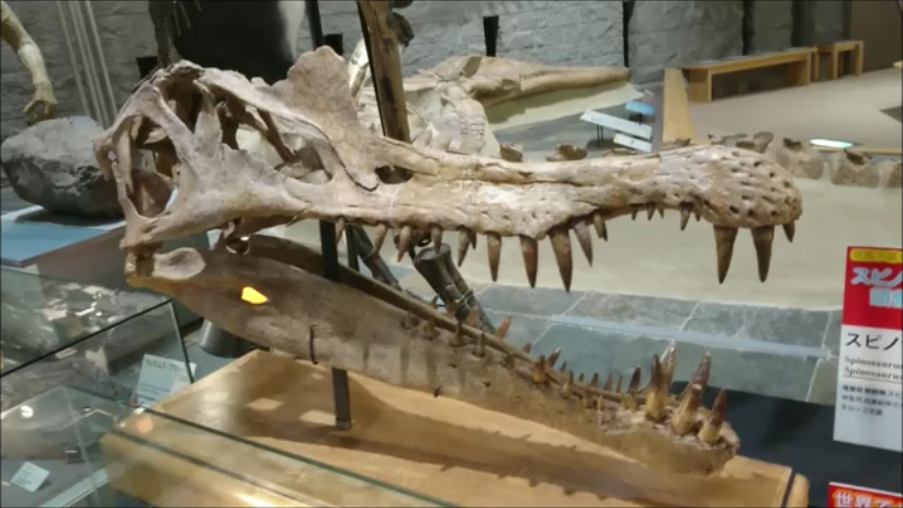f:id:Prehistoriclifeman:20211002124752p:plain