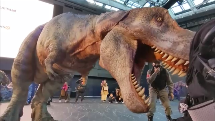f:id:Prehistoriclifeman:20211002130028p:plain