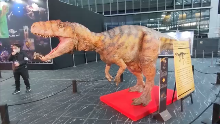 f:id:Prehistoriclifeman:20220130170926p:plain