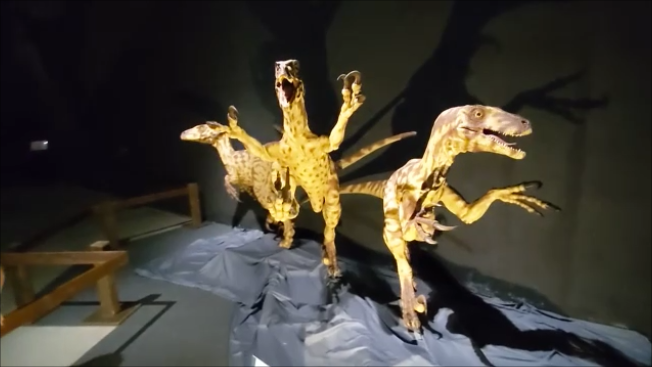古生物紹介】デイノニクス(Deinonychus) - Prehistoriclifemanの日記
