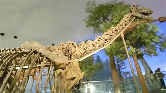 古生物紹介】カマラサウルス(Camarasaurus) - Prehistoriclifemanの日記