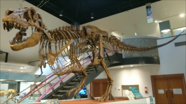 世界に一つ ヤンチュアノサウルス 1/10木彫頭骨模型 12.7㎝ 価格