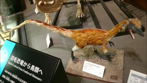 古生物紹介】シノサウロプテリクス(Sinosauropteryx