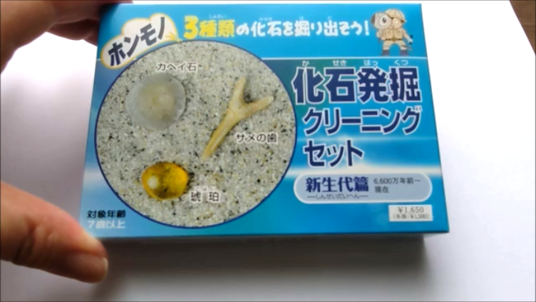 古生物玩具】化石発掘クリーニングセット パートⅢ 新生代篇