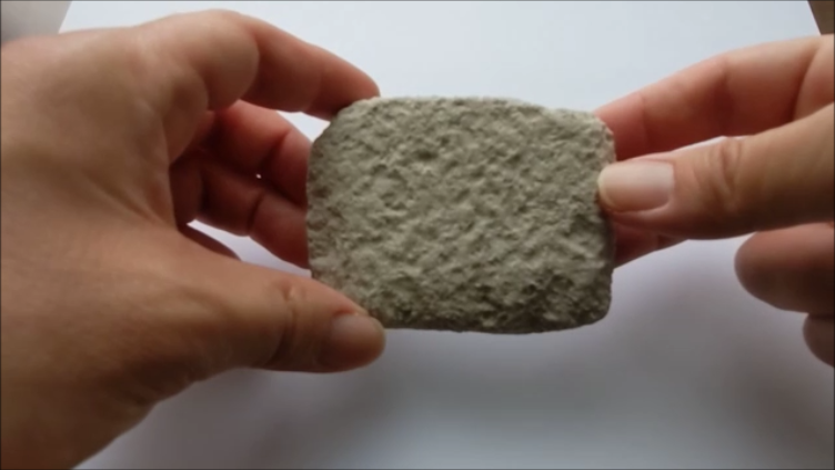 古生物玩具】化石発掘クリーニングセット パートⅢ 新生代篇