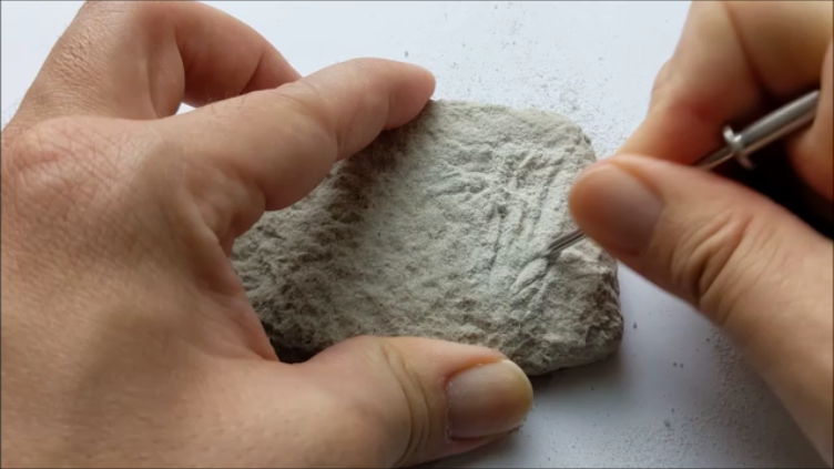 古生物玩具】化石発掘クリーニングセット パートⅢ 新生代篇