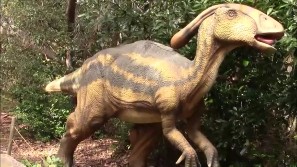 古生物紹介】パラサウロロフス(Parasaurolophus) - Prehistoriclifeman