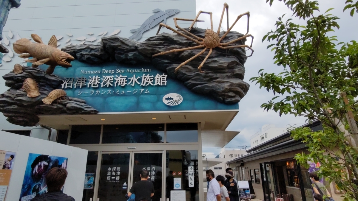 古生物スポット紹介】沼津港深海水族館(Numazu Deep Sea Aquarium