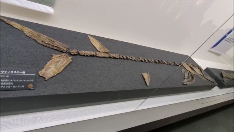 シファクサンの投与量