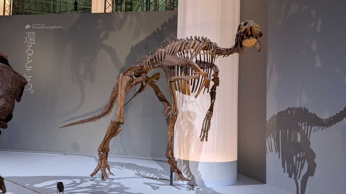 古生物紹介】エドモントサウルス(Edmontosaurus) - Prehistoriclifeman