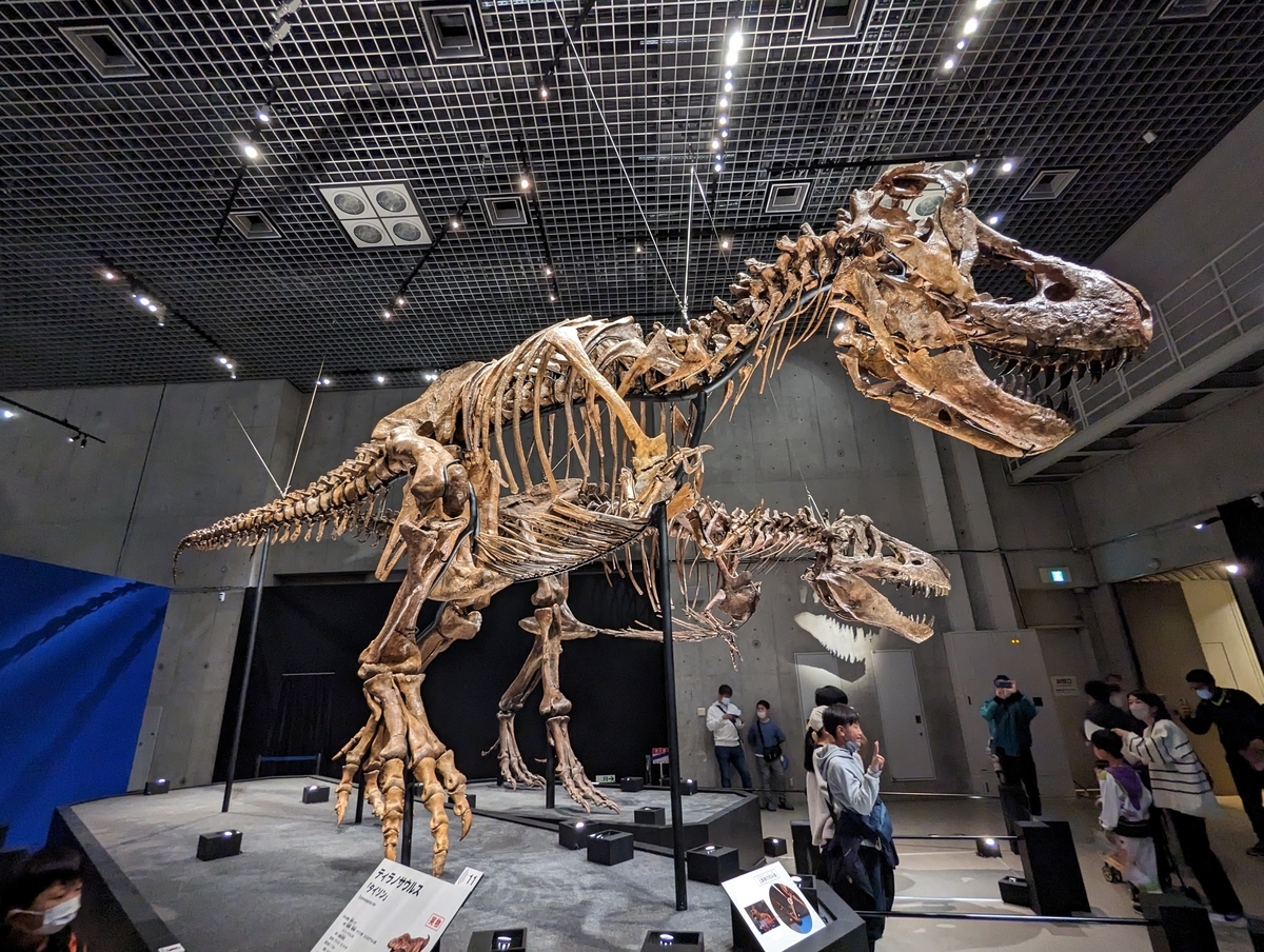 古生物イベント】恐竜博2023 (国立科学博物館) - Prehistoriclifemanの日記