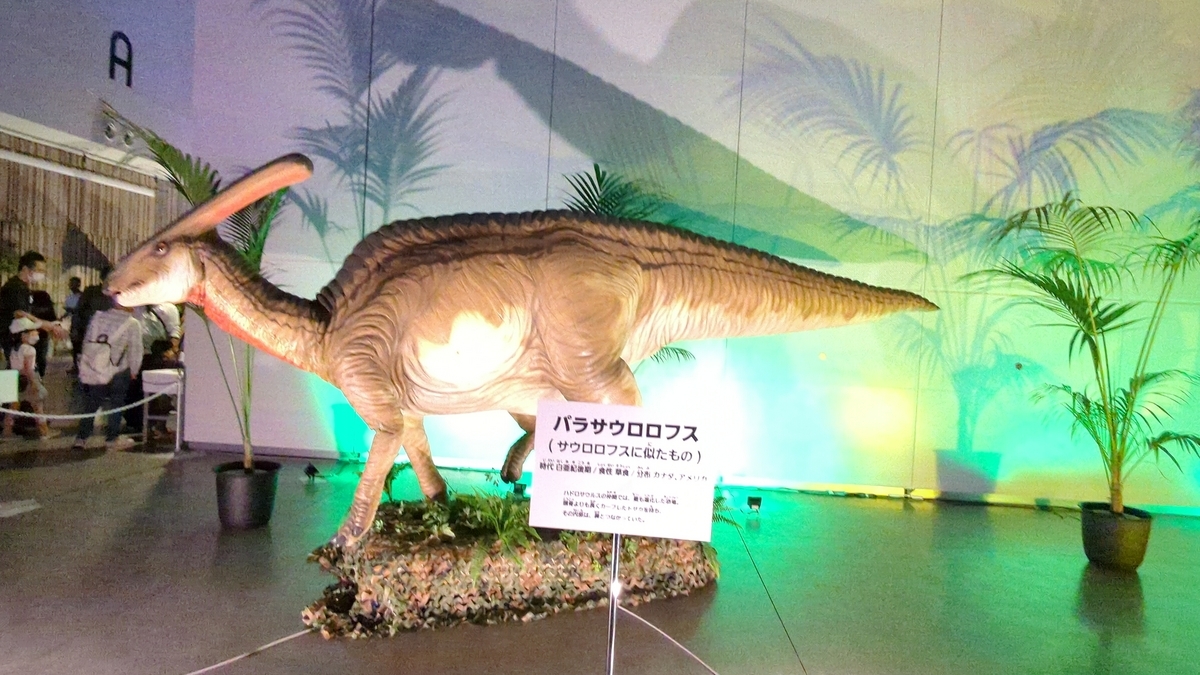 古生物紹介】パラサウロロフス(Parasaurolophus) - Prehistoriclifeman
