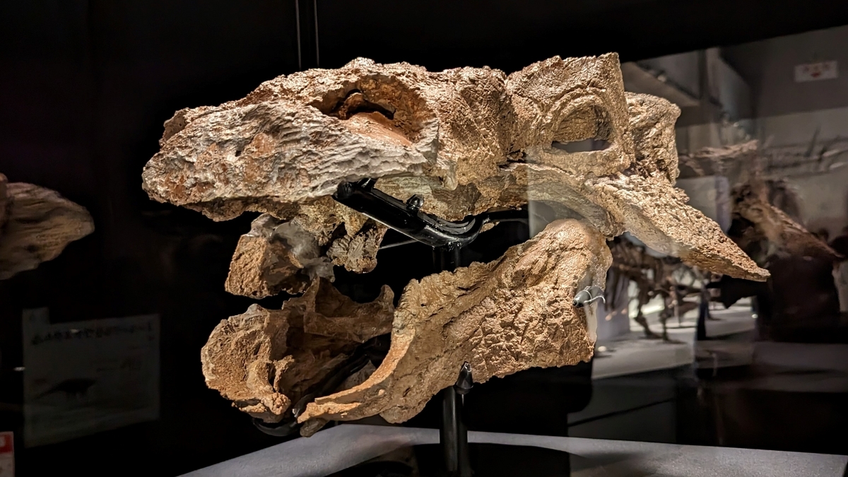 古生物玩具】恐竜博2023オリジナルぬいぐるみ マイプ＆ズール