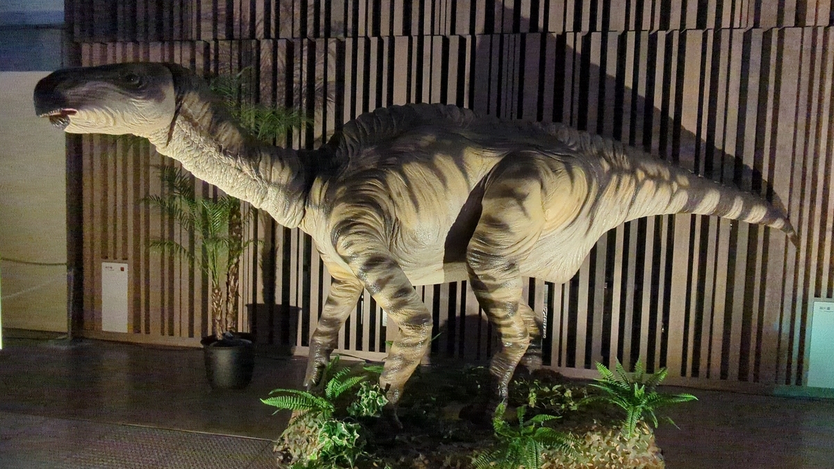 古生物紹介】イグアノドン(Iguanodon) - Prehistoriclifemanの日記