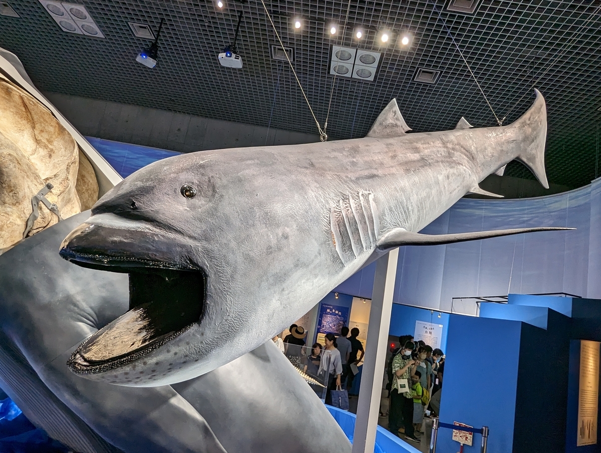 【古生物イベント】特別展 海 —生命のみなもと― (国立科学博物館) - Prehistoriclifemanの日記