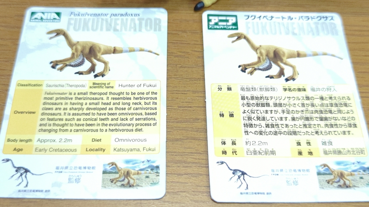 古生物玩具】アニア「フクイベナートル 福井県立恐竜博物館オリジナル