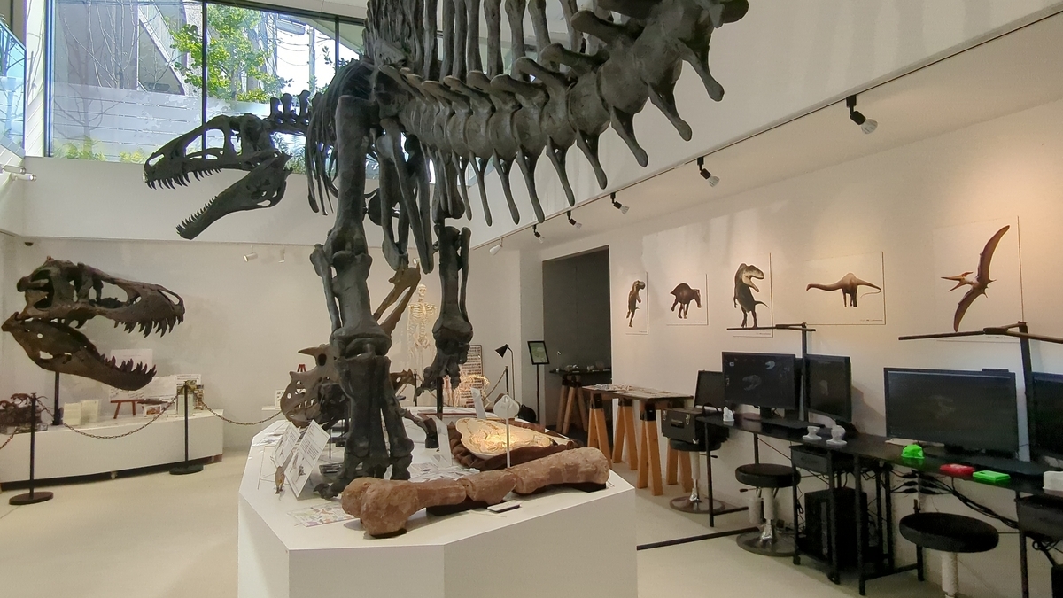 古生物イベント】第3回 化石のマーケット(TCA東京ECO動物海洋専門学校