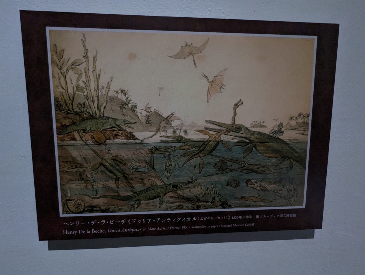 古生物紹介】イクチオサウルス(Ichthyosaurus) - Prehistoriclifemanの日記