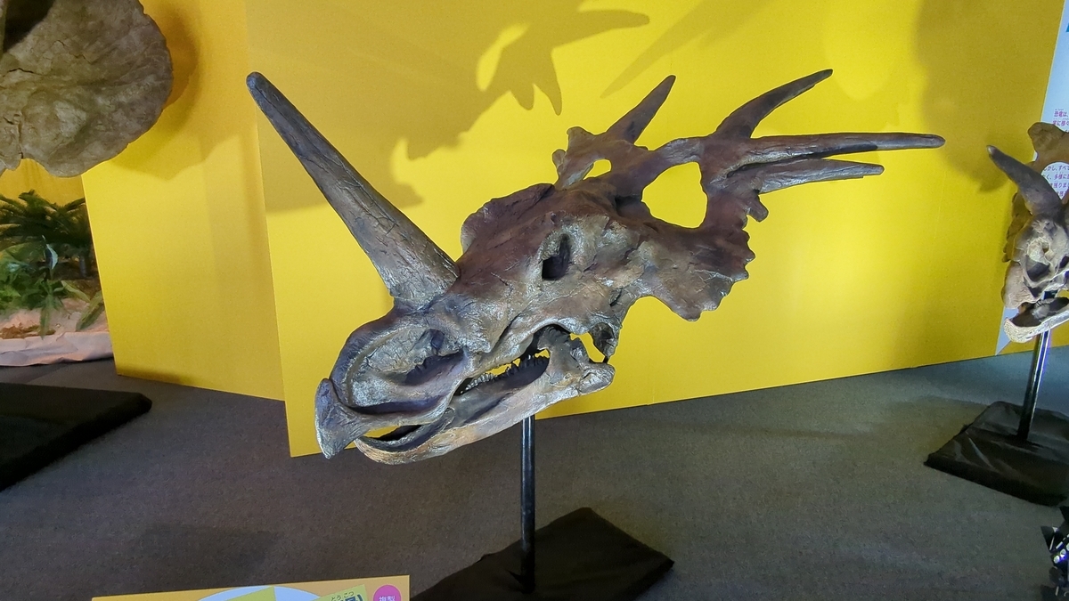 新品 スティラコサウルス（Styracosaurus）卵 レプリカ 公式ECサイト