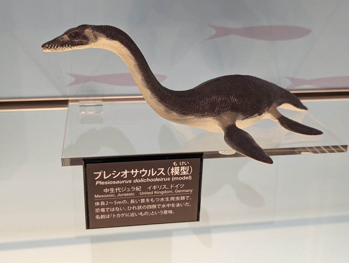 ☆ プレシオサウルス 恐竜 ☆ デッドストック 激レア！未使用 ビニールモデル｜愛嬌とリアルな雰囲気が Favorite｜プレシオサウルス 置物
