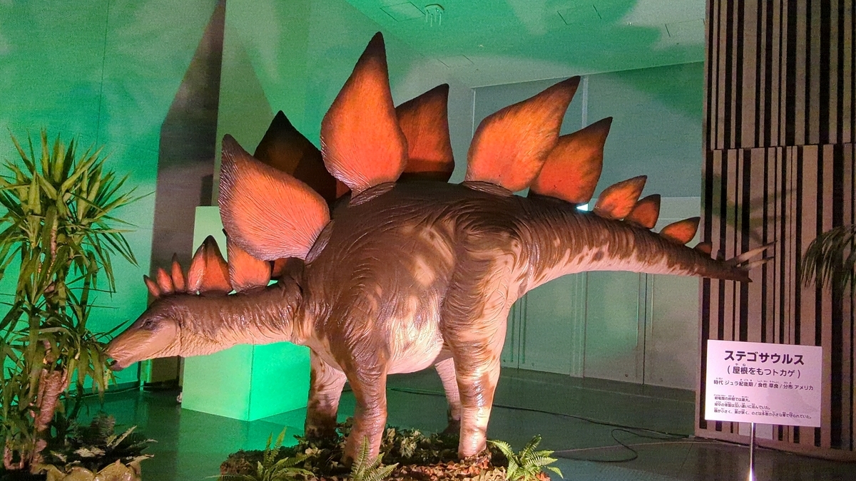 古生物紹介】ステゴサウルス(Stegosaurus) - Prehistoriclifemanの日記