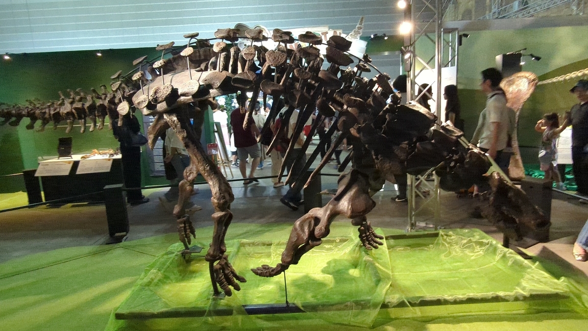 Denversaurus Ribs 【古生物紹介】デンバーサウルス(Denversaurus) - Prehistoriclifemanの日記