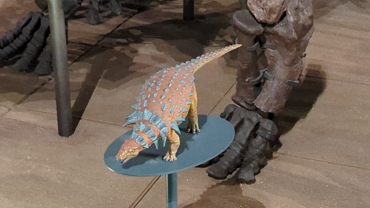 Denversaurus Ribs 【古生物紹介】デンバーサウルス(Denversaurus) - Prehistoriclifemanの日記