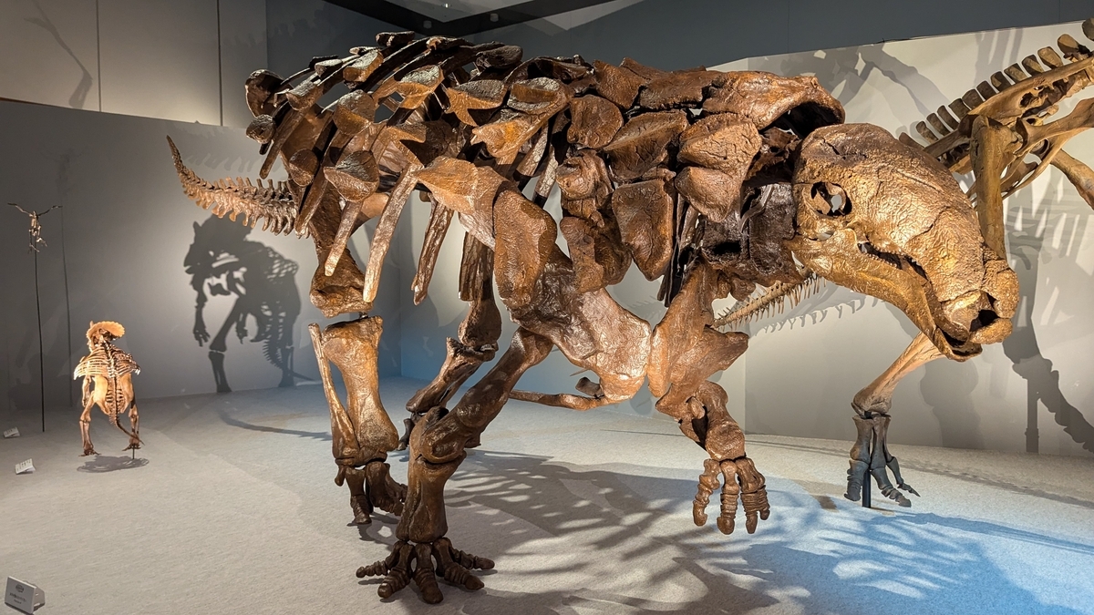 Denversaurus Ribs 【古生物紹介】デンバーサウルス(Denversaurus) - Prehistoriclifemanの日記