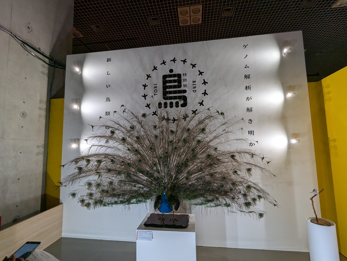 古生物玩具】特別展 「鳥」オリジナルグッズ ペラゴルニス