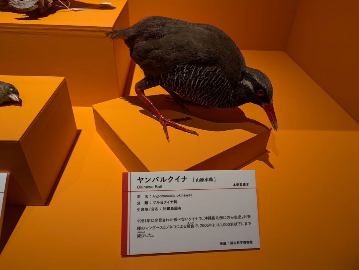 古生物イベント】特別展 鳥 ～ゲノム解析が解き明かす新しい鳥類の系統