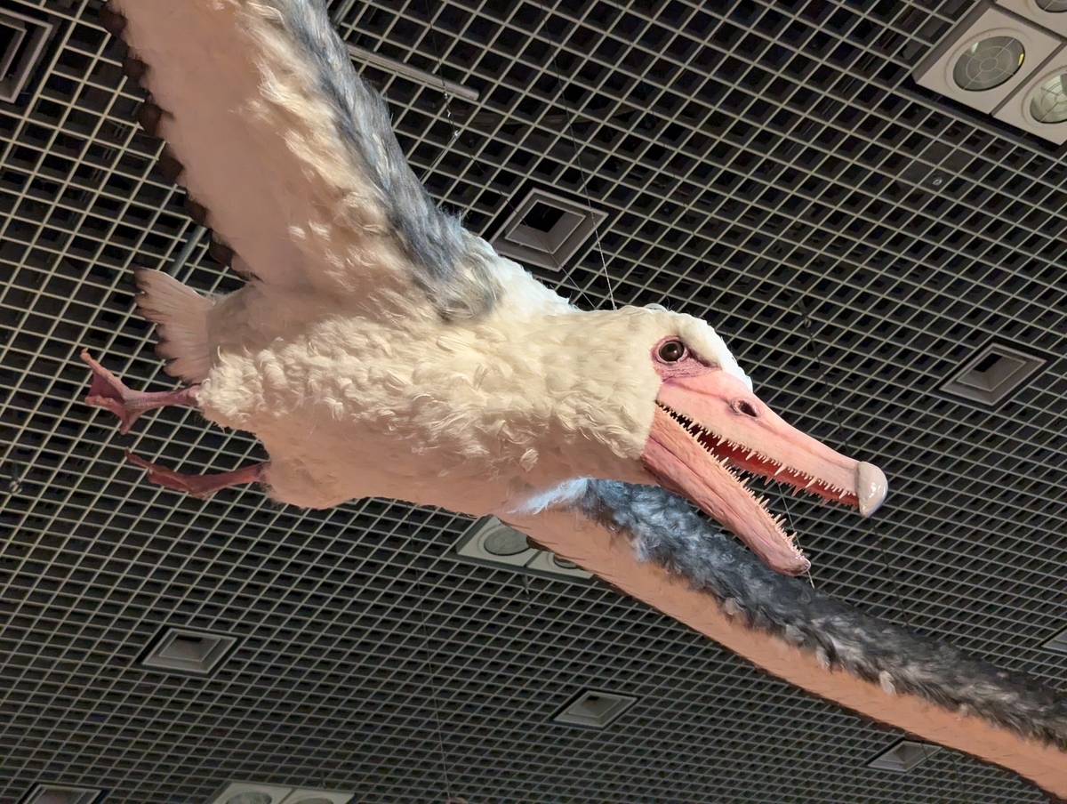 古生物玩具】特別展 「鳥」オリジナルグッズ ペラゴルニスぬいぐるみ