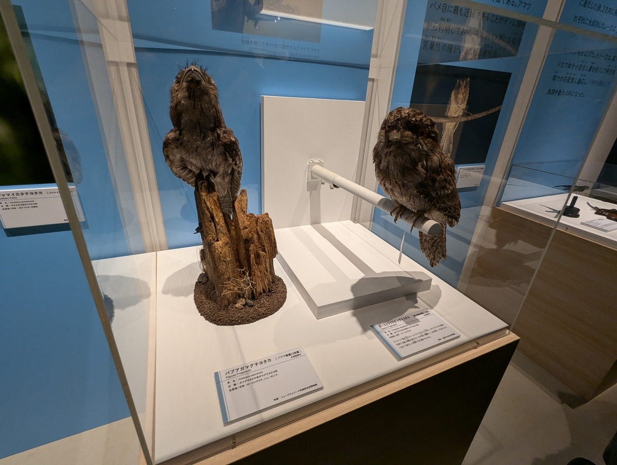 古生物玩具】特別展 「鳥」オリジナルグッズ ペラゴルニスぬいぐるみ