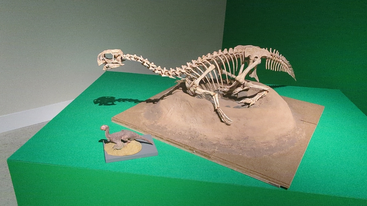 古生物紹介】コンコラプトル(Conchoraptor) - Prehistoriclifemanの日記