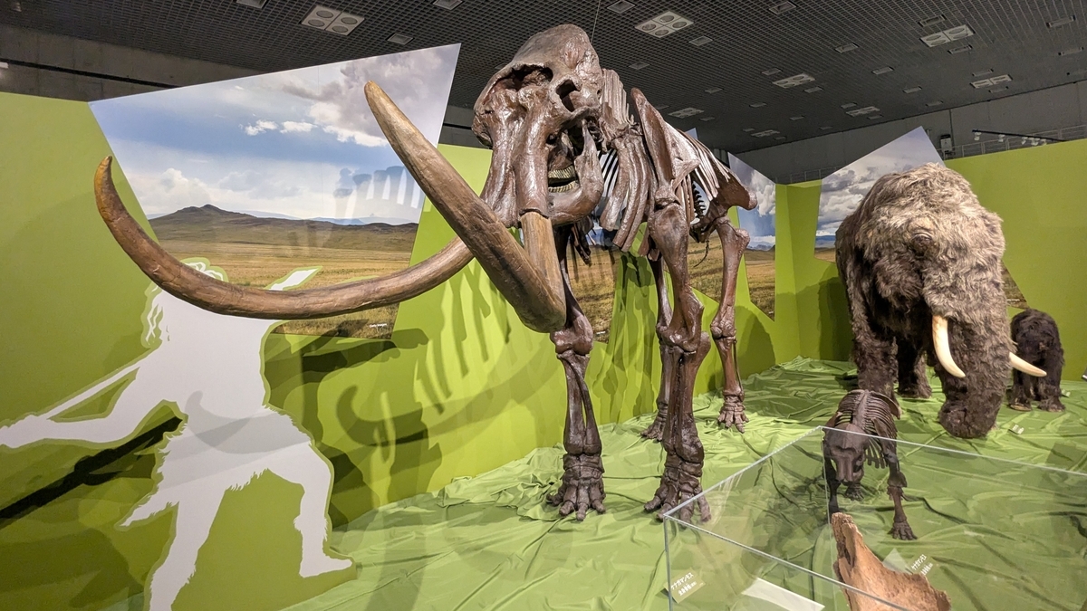 古生物イベント】特別展 氷河期展 人類が見た4万年前の世界(国立