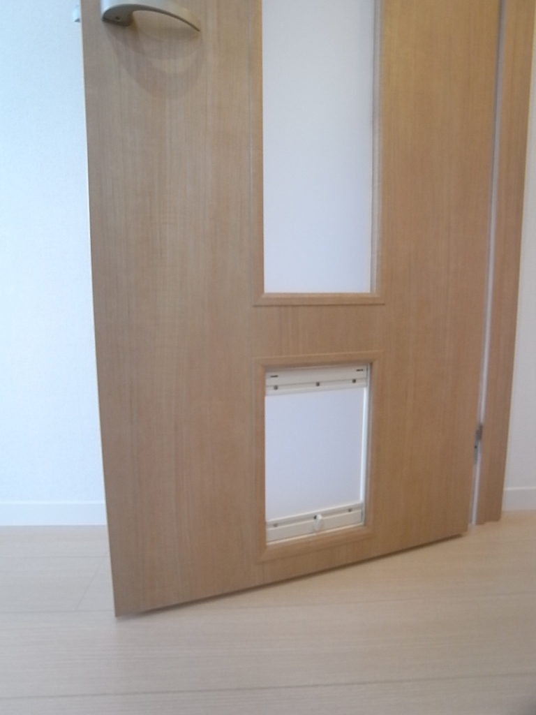 f:id:President168:20181216145118j:plain