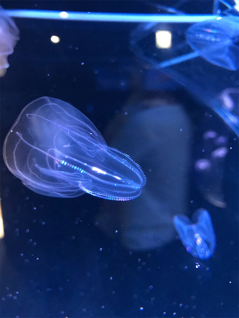 f:id:PrinceofWales:20200606203910j:image f:id:PrinceofWales:20200606203910j:image