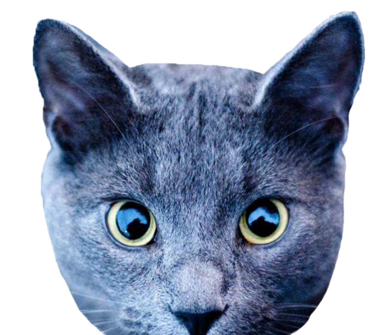 プロフィール画像2