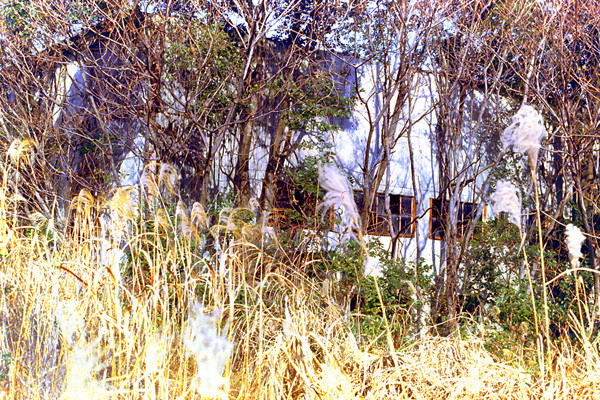 f:id:Pulin:20100107095926j:image