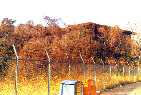 f:id:Pulin:20100107095928j:image