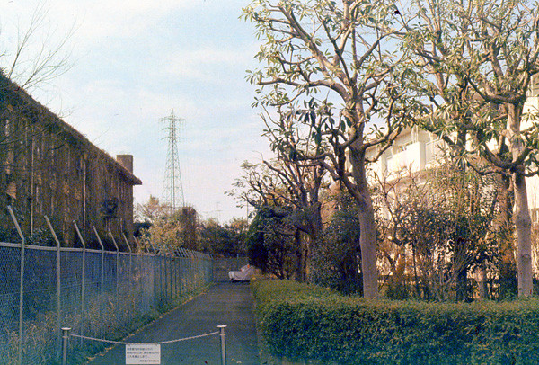 f:id:Pulin:20100112032450j:image