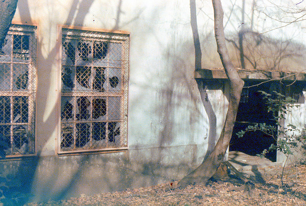 f:id:Pulin:20100112055526j:image