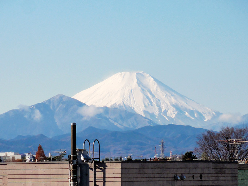 20101209051317