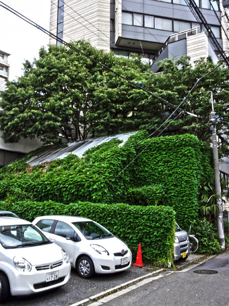 f:id:Pulin:20110531123100j:image