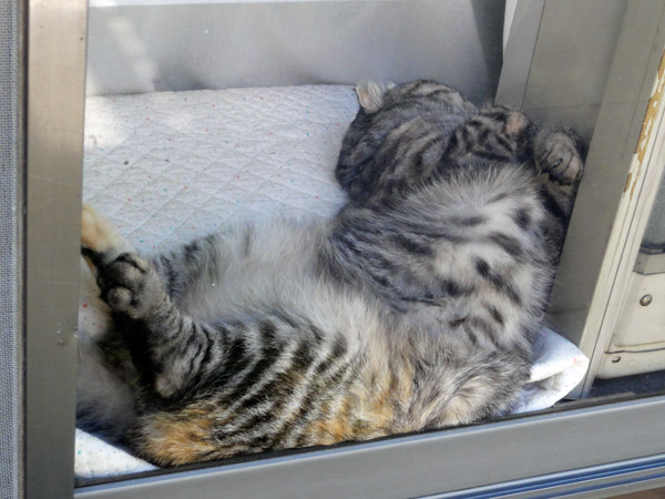 f:id:Pulin:20121008170108j:image