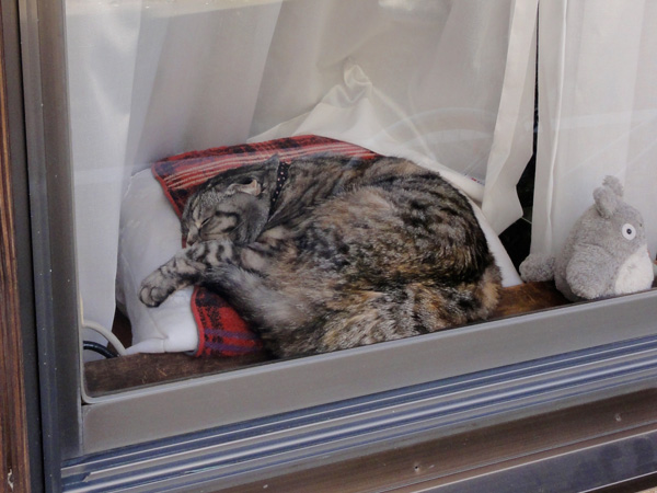 f:id:Pulin:20130312184630j:image