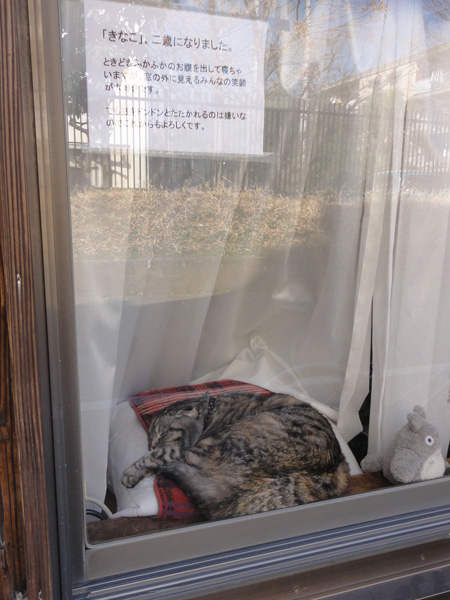 f:id:Pulin:20130312185019j:image