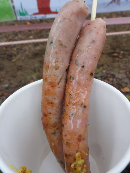 f:id:Pulin:20131102170700j:image