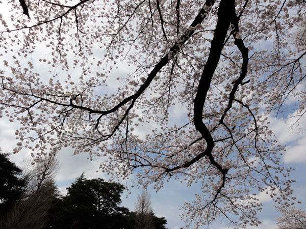 f:id:Pulin:20140410181528j:image